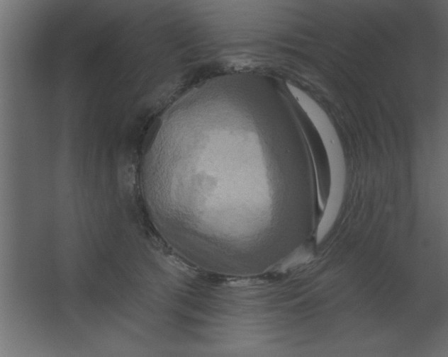 X0000067350417200604212007