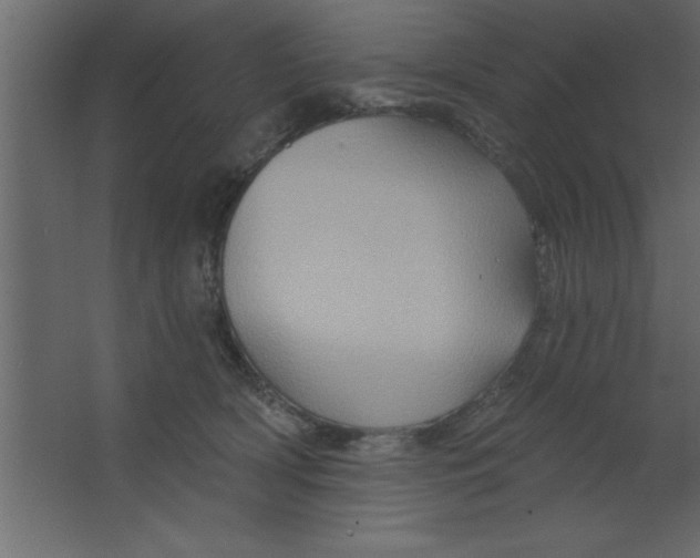 X0000067350418200604212007