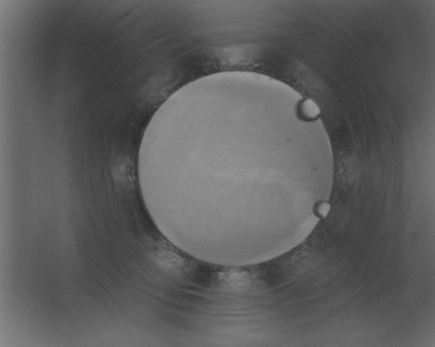 X0000067350419200604212007