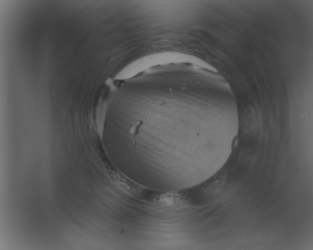 X0000067350420200604212007