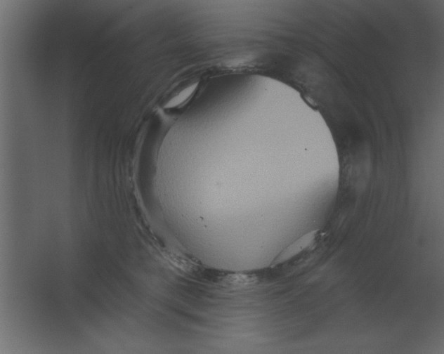 X0000067350421200604212007