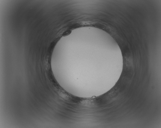 X0000067350422200604212006