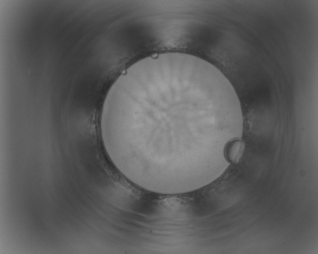 X0000067350423200604212006