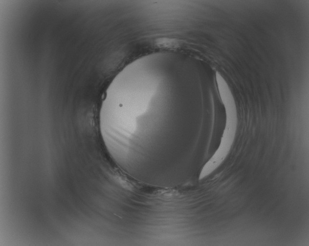 X0000067350424200604212006