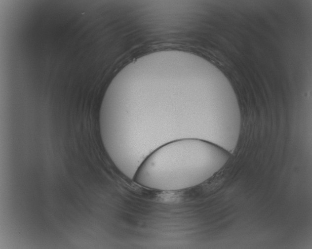 X0000067350425200604212006