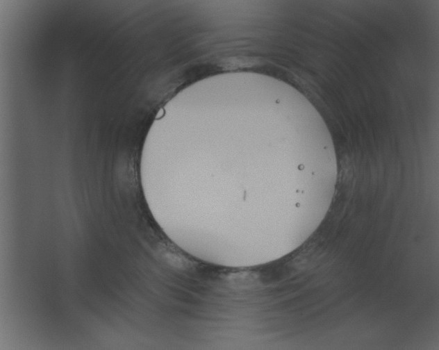 X0000067350426200604212006