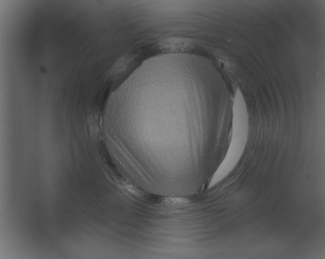 X0000067350429200604212006