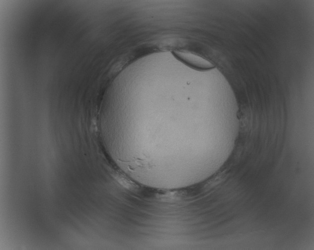 X0000067350430200604212006