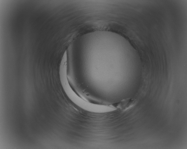 X0000067350432200604212006