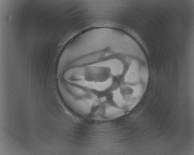 X0000067350433200604212006