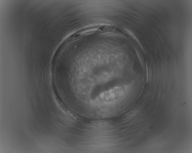 X0000067350435200604212006