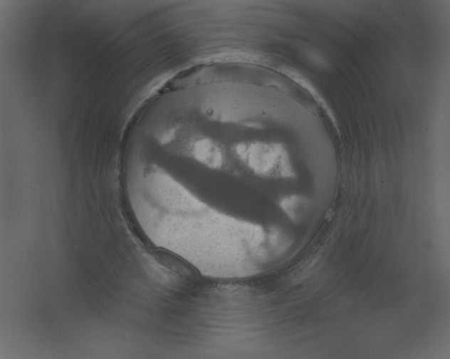 X0000067350437200604212006