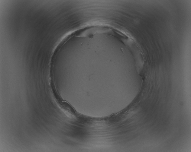 X0000067350438200604212006