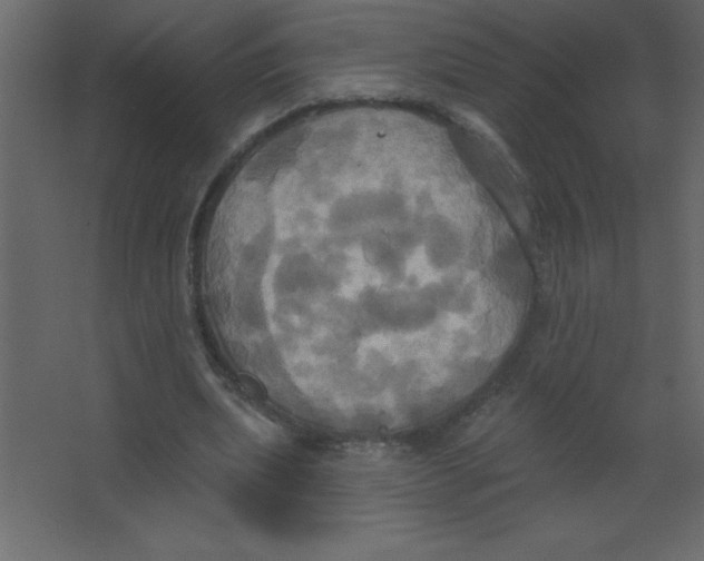 X0000067350439200604212006