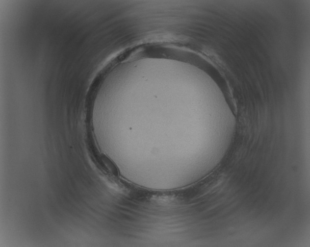 X0000067350440200604212006