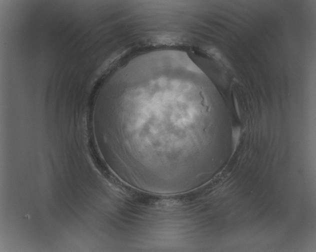 X0000067350444200604212006