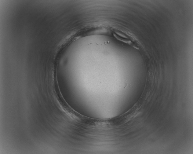 X0000067350446200604212006