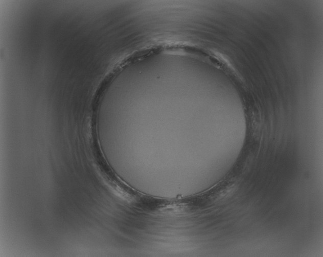 X0000067350447200604212006