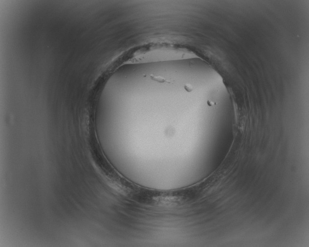 X0000067350448200604212006