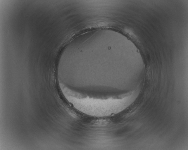 X0000067350449200604212006