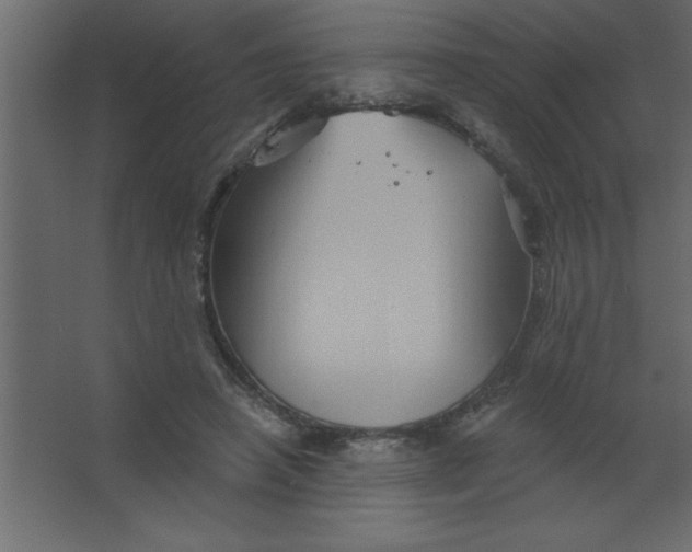 X0000067350450200604212006