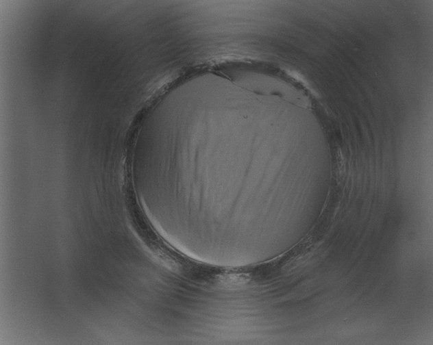 X0000067350451200604212006