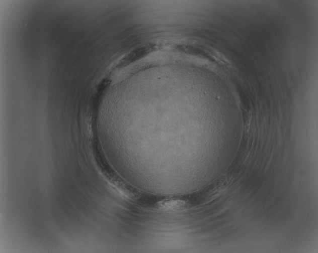 X0000067350452200604212006