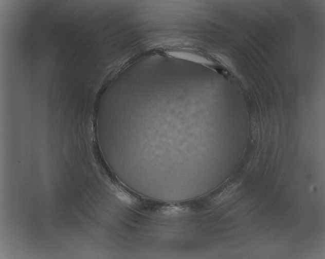 X0000067350453200604212006