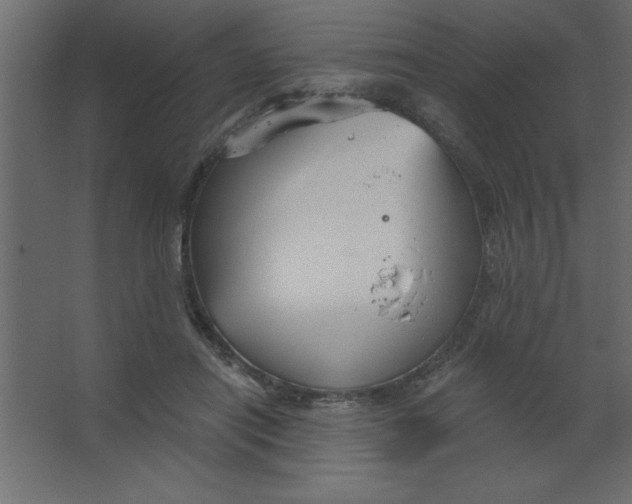 X0000067350454200604212006