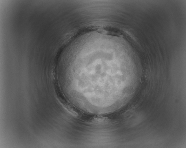 X0000067350455200604212006