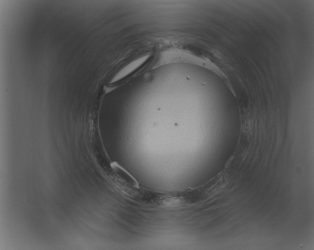 X0000067350456200604212006