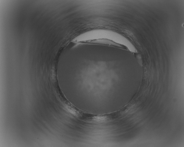 X0000067350457200604212006