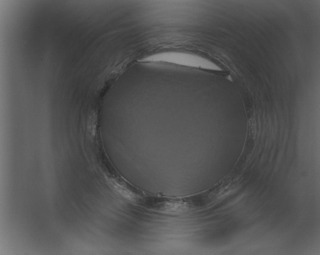 X0000067350458200604212006