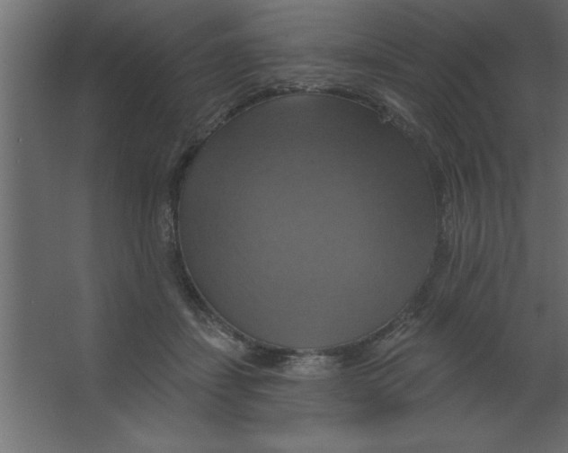 X0000067350459200604212006