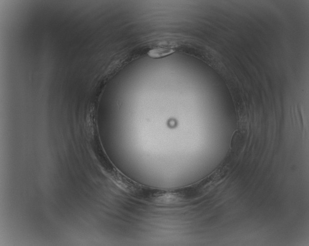 X0000067350460200604212006