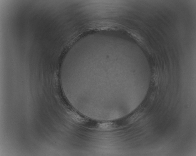 X0000067350461200604212006