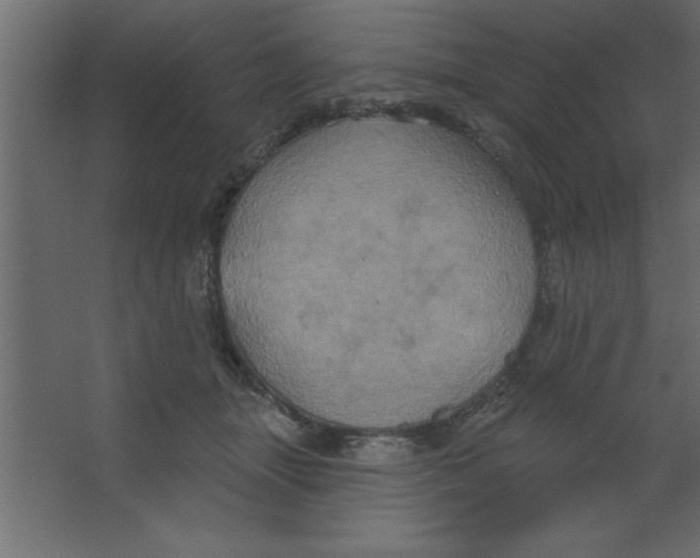 X0000067350463200604212006