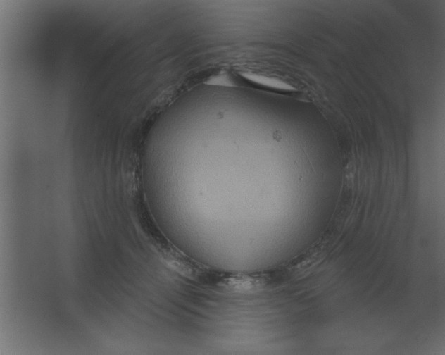 X0000067350464200604212006