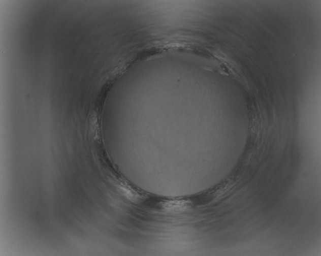 X0000067350465200604212006