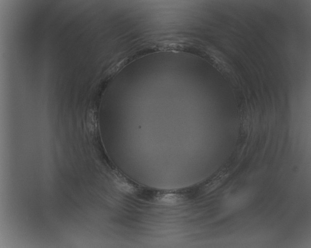 X0000067350467200604212006