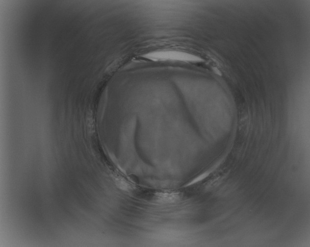 X0000067350469200604212006