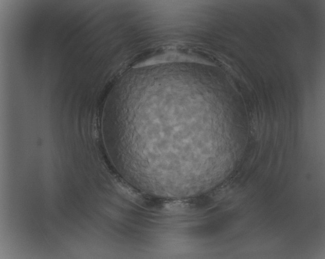 X0000067350470200604212006