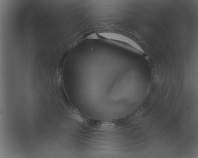 X0000067350471200604212006