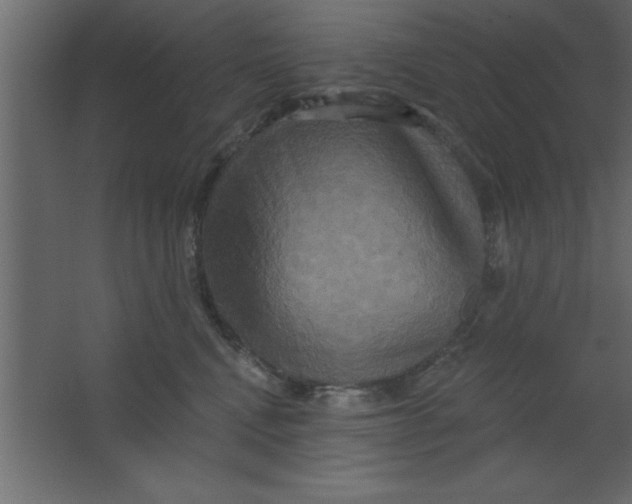 X0000067350472200604212006