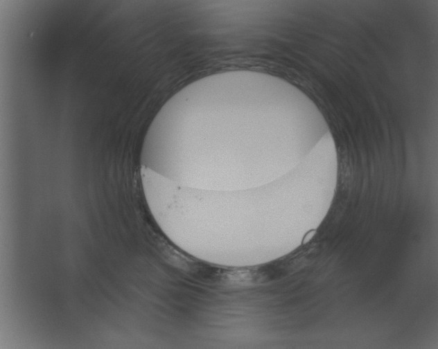 X0000067350473200604212006