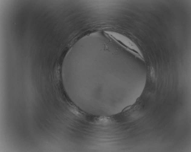 X0000067350475200604212006