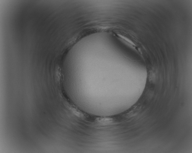 X0000067350476200604212006