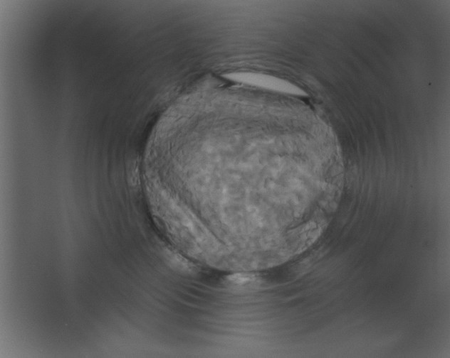 X0000067350477200604212006