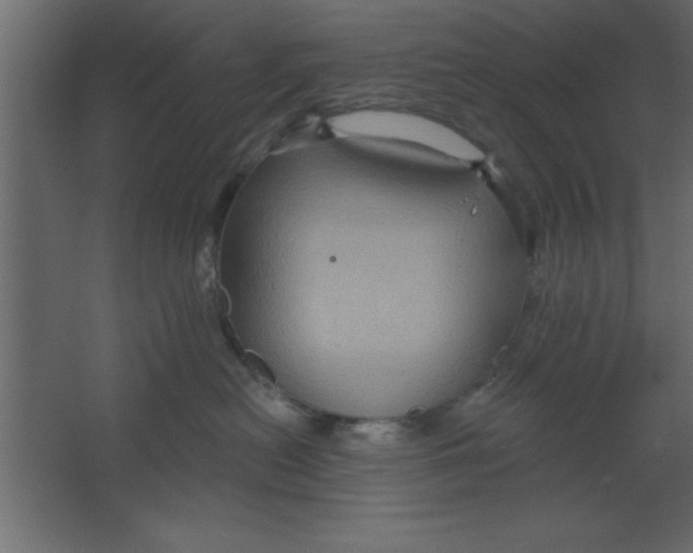 X0000067350478200604212006