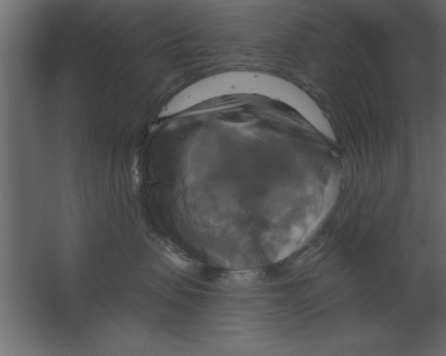 X0000067350479200604212006